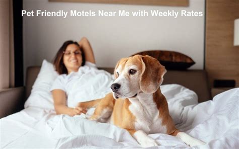THE BEST Jackpot Pet Friendly Motels of 2024 (with Prices.